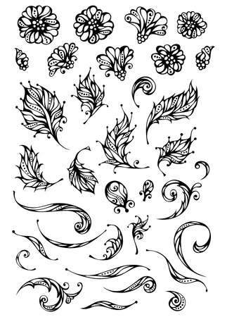 Ornate flowers and leaves for your design isolated on white background.のイラスト素材