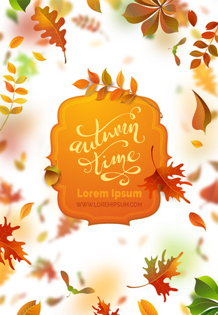 Vector bright autumn leaves fall down. A lot of colourful leaves on white background. Nature vertical banner. Blurred background. Badge with text. Oak, rowan, maple and chestnut leaves.のイラスト素材