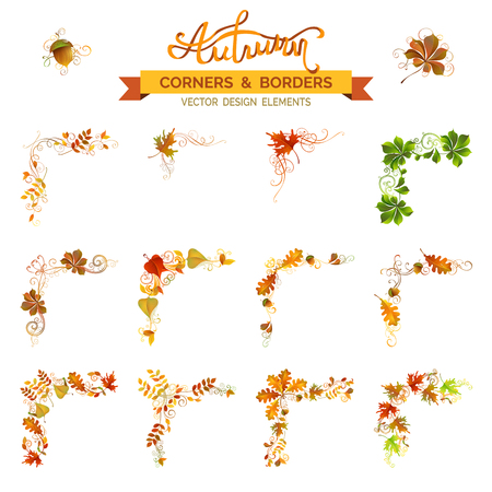 Vector set of autumn leaves design elements. Vintage corners, page decorations and dividers. Swirls and flourishes. Isolated on white background. Oak, rowan, maple, chestnut, elm leaves and acorn.のイラスト素材