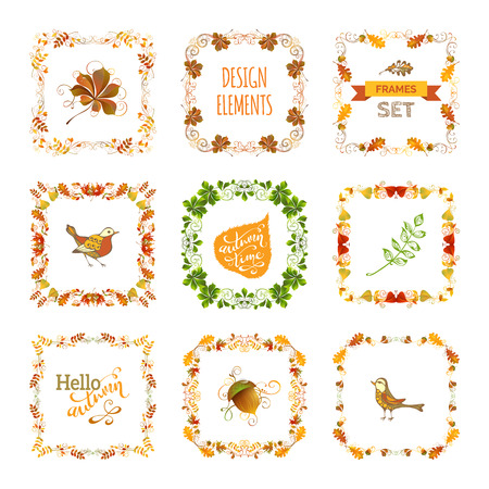 Vector set of autumn leaves design elements. Frames, corners, page decorations and dividers, swirls and flourishes isolated on white background. Oak, rowan, maple, chestnut, elm leaves and acorn.のイラスト素材