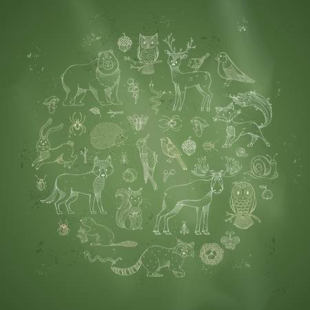 Vector set of chalk animals on blackboard background. Cute hedgehog, owl, beaver, hare, raccoon, snail, squirrel, deer, fox, bee, ant, mushroom, ladybug, elk, acorn, bug. Zoo hand-drawn collection.のイラスト素材