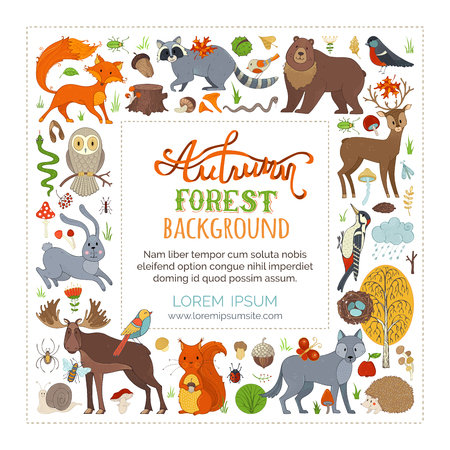 Vector set of wild animals and woodland elements. Adorable moose, raccoon, hare, fox, deer, owl, squirrel, wolf. Autumn leaves, birch, acorn, ladybug, mushrooms, rain.のイラスト素材
