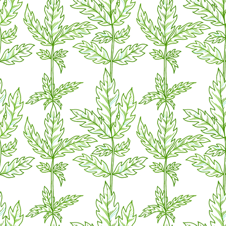 Vector seamless pattern of leaves. Outline green pinnate leaves on white background. Bright summer boundless background. Tileable design element.のイラスト素材