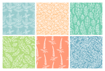 White outline tiny flowers and pinnate leaves on colored backgrounds. Bright spring and summer boundless backgrounds. Tileable design elements.のイラスト素材