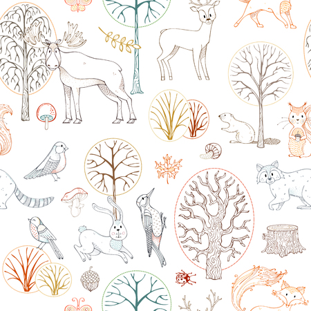 Outline wild animals and birds. Fox, moose, deer, bear, squirrel, beaver, raccoon, woodpecker, hedgehog and others. Trees, leaves, seeds and mushrooms.のイラスト素材