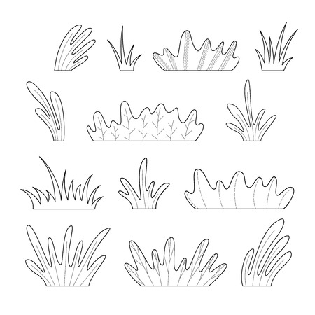 Summer design elements isolated on a white background. Hand-drawn black and white nature illustration. Can be used for a coloring book for adults.のイラスト素材