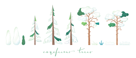 Pine, fir, cypress and grass isolated on white background. Filled and outlined. Flat nature illustration.のイラスト素材