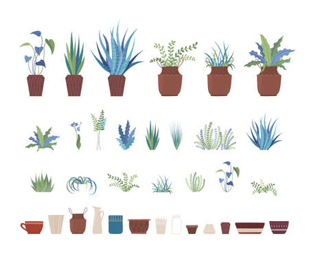 Home plants and clay pots flat vector illustrations set. Ceramic flowerpots and domestic plants, interior design elements pack. Room greenery collection isolated on white backgroundのイラスト素材