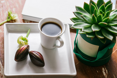 Cup of coffee and cactus on green box background. wooden table.の写真素材