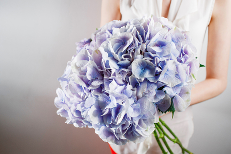 hand holding a bunch blue color hydrangea white backgroundの写真素材