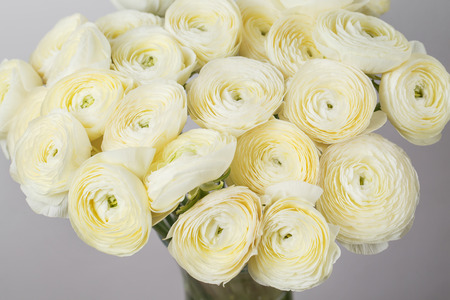 beautiful bouquet buttercup in a glass vase on white background. colorful color mix flower