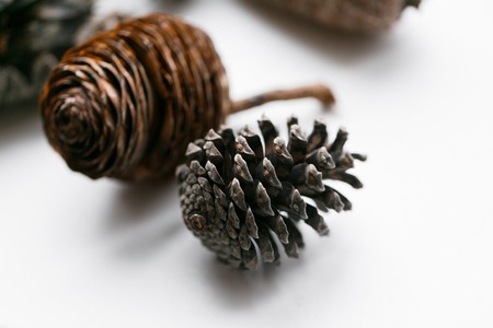 Pine cone set different views on white.