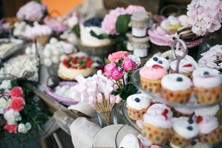 Candy bar. Banquet table full of berries and an assortment of sweets. pie and cake. wedding on the nature.の写真素材