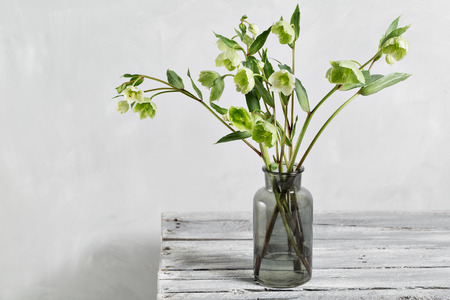 Bouquet of spring hellebore flowers in a vase. Spring floral still life with helleborus flowers. Home natural decoration.の写真素材