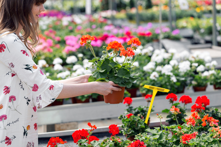 Young woman buying flowers at a garden centerの写真素材