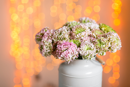 Pink persian buttercup flowers. Curly peony ranunculus in Metallic gray vintage can. Vase with beautiful bouquet on table. Copy space. lights on the background.の写真素材