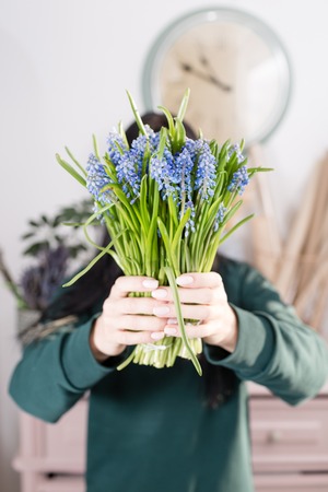 Beautiful spring flower bouquet. Delicate female hands holding a holds blue muscari flowers. Pink chest of drawers in the background. Flower shop, a family business.の写真素材