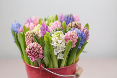 Flower shop concept. Mixed color. Fresh spring flowers in refrigerator room for flowers. Bouquets on shelf, florist business.の写真素材