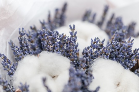 beautiful bouquet lavender and cotton, on table . dried flowers white and lilac colorの写真素材