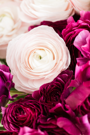 Persian buttercup. Bunch colorful and pale pink ranunculus flowers light background. Glass vase on pink vintage wooden table. Wallpaperの写真素材