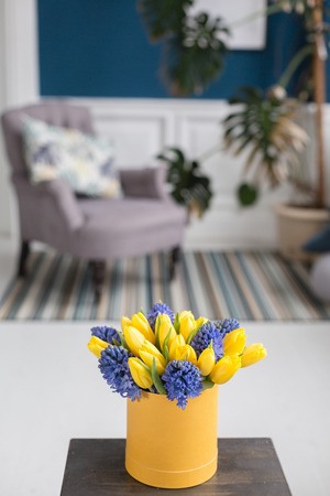 Bunch of blue hyacinths and yellow tulips on white table. Present for a girl. Flowers bouquet in box. Sunny spring morning.の写真素材