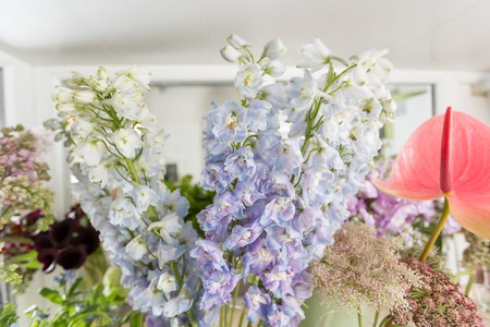 Flower shop concept. Different varieties fresh spring flowers in refrigerator room for flowers. Bouquets on shelf, florist business.の写真素材