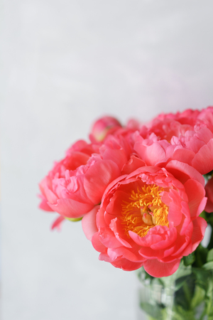 Lovely flowers in glass vase. Beautiful bouquet of peonies sort of coral charm. Floral composition, scene, daylight. Wallpaperの写真素材