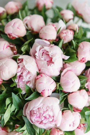Lovely flowers in glass vase. Beautiful bouquet of pink peonies . Floral composition, scene, daylight. Wallpaper. Vertical photoの写真素材