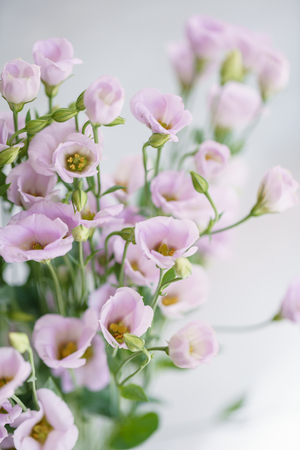 bunch of lilac eustoma flowers in glass vase. Love Vintage background with flowers. Wallpapers for phoneの写真素材