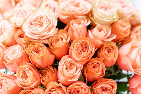Roses peach and orange pastel colors. Bright bouquet in metal bucket. concept of flower shop.の写真素材