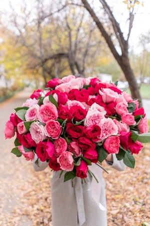 Big luxury bright bouquet in the hands of a cute girl. One hundred garden roses, varieties of David Austin. Three kinds of bright pink, scarlet and pastel colors. Autumn leaves in the Park.の写真素材