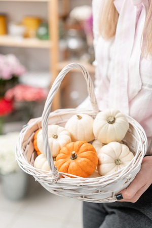 Wicker basket full of pumpkins. Young woman is holding a basket with white and orange pumpkins.の写真素材