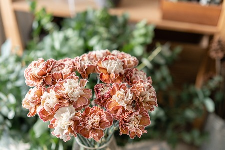 Bunch unusual color carnation in glass vase. Bouquet flowers on light background. . Wallpaper.の写真素材
