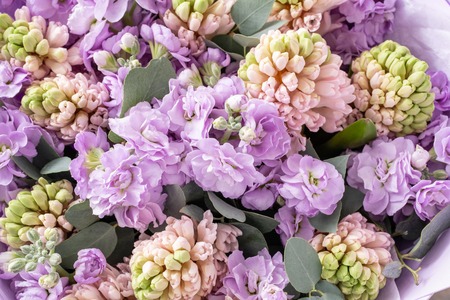 Bouquets of pink hyacinths and matthiola of lilac color in vase on wooden table. Spring flowers from Dutch gardener. Concept of a florist in a flower shop. Wallpaper.の写真素材