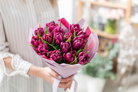 Bouquets of violet tulips. Spring flowers from Dutch gardener. Concept of a florist in a flower shop. Wallpaper.の写真素材
