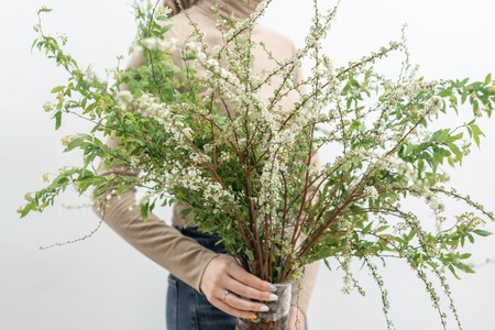 Blooming Spirea, in vase in womans hands. Snow White. Flower shop, floristry conceptの写真素材