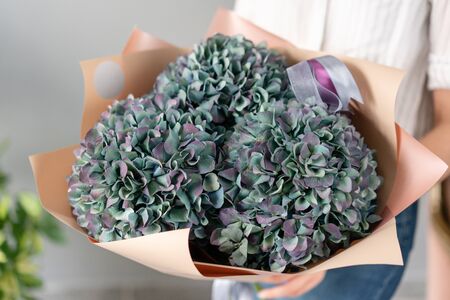 Bouquet of purple and green flower. Beautiful hydrangea flowers in womans hands. the work of the...