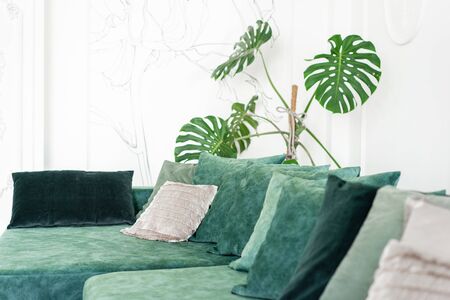 Sofa with cushions, emerald color. luxury living room with parquet wood floors, fireplace, sofa and houseplant. Stucco on wallsの写真素材