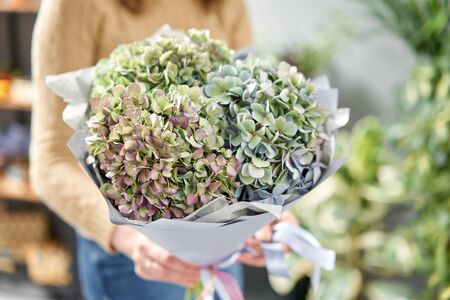 Bouquet of green flower. Beautiful hydrangea flowers in womans hands. the work of the florist at a flower shop. Fresh cut flower.の写真素材