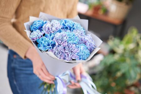 Mono bouquet of blue carnations in woman hand. Unusual flowers dianthus . Spring flower patternの写真素材