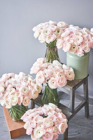 many layered petals. Persian buttercup. Bunch pale pink ranunculus flowers light background.の写真素材