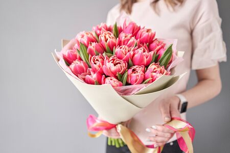 Crimson color tulips in woman hand. Spring bouquet of red tulips in hands. Bunch of fresh cut spring flowers.の写真素材