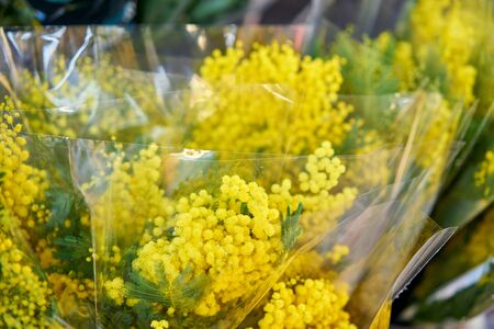 Mimosa spring. Bunches of different colorful flowers in buckets on street flower market in Anemone, poppyの写真素材