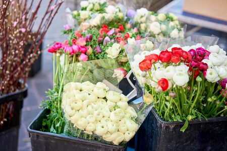Bunches of different colorful flowers in buckets on street flower market in Anemone, poppyの写真素材