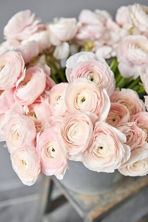 Spring background, flower Wallpaper. Persian buttercup. Bunch pale pink ranunculus flowers on light...