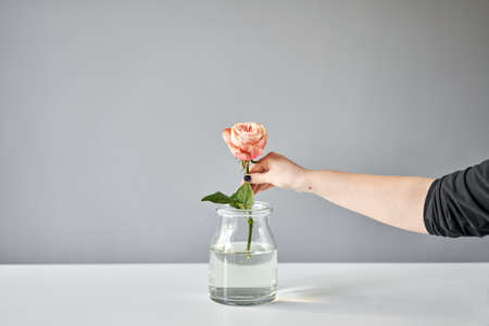 step by step installation of flowers in a vase. Flowers bunch, set for home. Fresh cut flowers for...