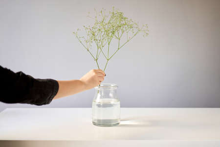 Bouquet 006, step by step installation of flowers in a vase. Flowers bunch, set for home. Fresh cut flowers for decoration home. European floral shop. Delivery fresh cut flower.の写真素材