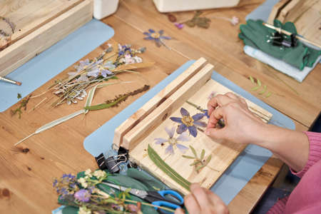 A woman lays out a composition. Master class on creating frame with Herbarium in technique in...