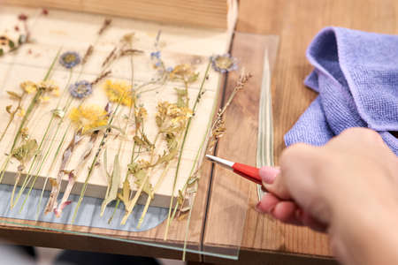 A woman lays out a composition. Master class on creating frame with Herbarium in technique in...