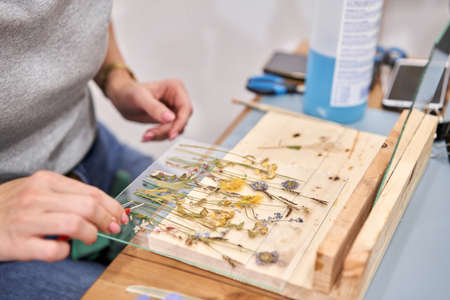 A woman lays out a composition. Master class on creating frame with Herbarium in tiffany technique...
